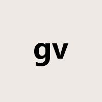 gv是什么意思