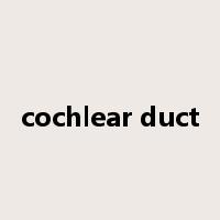 cochlear duct是什么意思