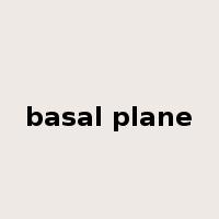 basal plane是什么意思
