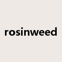 rosinweed是什么意思