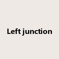 Left junction是什么意思