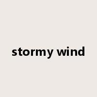 stormy wind是什么意思