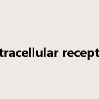 intracellular receptor是什么意思