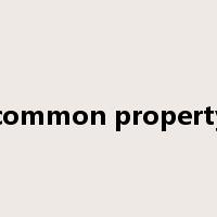 common property是什么意思