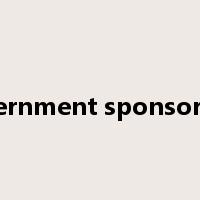 government sponsorship是什么意思