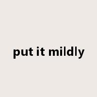 put it mildly是什么意思