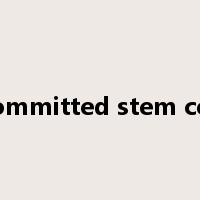 committed stem cell是什么意思