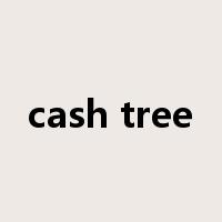 cash tree是什么意思