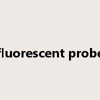 fluorescent probe是什么意思