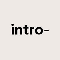 intro-是什么意思