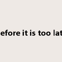before it is too late是什么意思