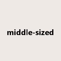 middle-sized是什么意思