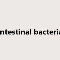 intestinal bacteria是什么意思