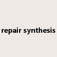repair synthesis是什么意思