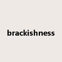 brackishness是什么意思