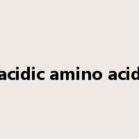acidic amino acid是什么意思