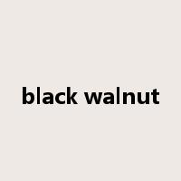black walnut是什么意思