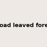 broad leaved forest是什么意思
