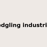 fledgling industries是什么意思