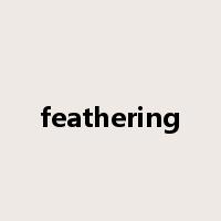 feathering是什么意思
