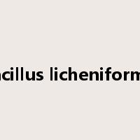 Bacillus licheniformis是什么意思