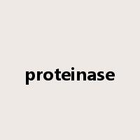 proteinase是什么意思