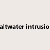 saltwater intrusion是什么意思
