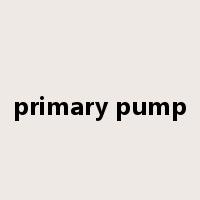 primary pump是什么意思
