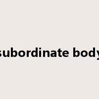 subordinate body是什么意思