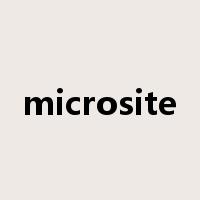 microsite是什么意思
