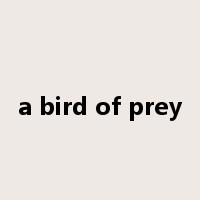 a bird of prey是什么意思