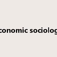 economic sociology是什么意思