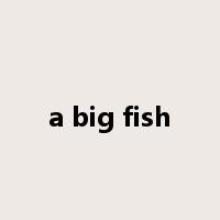 a big fish是什么意思