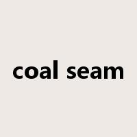 coal seam是什么意思