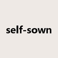 self-sown是什么意思