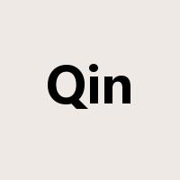 Qin是什么意思