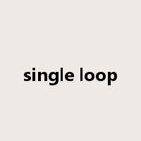 single loop是什么意思