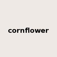 cornflower是什么意思