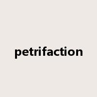 petrifaction是什么意思