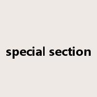 special section是什么意思
