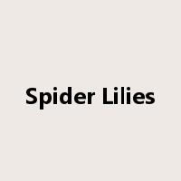 Spider Lilies是什么意思