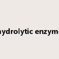 hydrolytic enzyme是什么意思