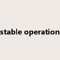 stable operation是什么意思