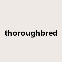 thoroughbred是什么意思