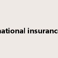 national insurance是什么意思