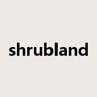 shrubland是什么意思