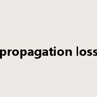 propagation loss是什么意思