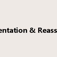 Segmentation & Reassembly是什么意思