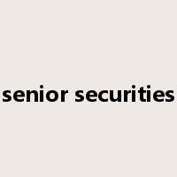 senior securities是什么意思