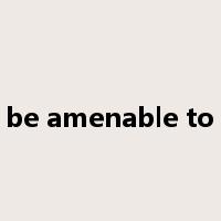 be amenable to是什么意思